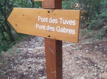 Trail Walking Saint-Cézaire-sur-Siagne - Gorges de Siagne - Photo