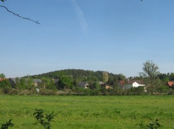 Tocht Te voet Groß Kreutz (Havel) - Mühlenrundweg - Photo