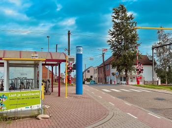 Excursión A pie Rotselaar - Wijndorpwandeling - Photo