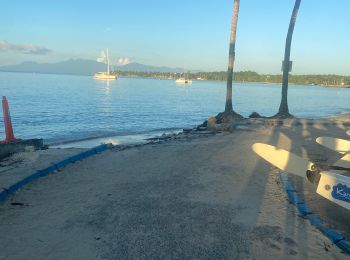 Tour Pfad Sainte-Anne - La boucle de Modette  - Photo