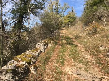 Trail Walking Montvalent - Bendou - Photo