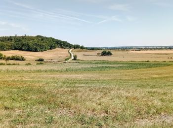 Randonnée Marche Villers-en-Argonne - Villers en Argonne du 24/07/2022 - Photo