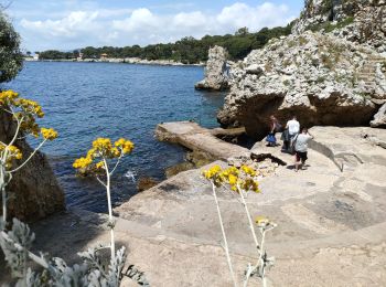 Percorso Marcia Antibes - cap Antibes garoupe  - Photo