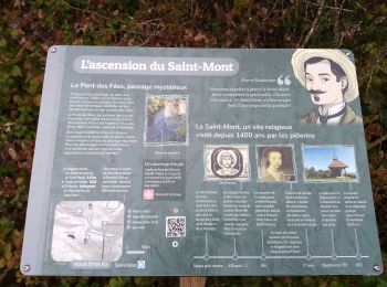 Trail Walking Saint-Étienne-lès-Remiremont - rando chanoinesses 2024 - Photo