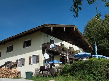 Tour Zu Fuß Murnau am Staffelsee - Guglhör-Rundweg - Photo