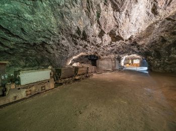 Tour Zu Fuß Friedrichroda - Rundweg Reinhardsbrunn - Photo