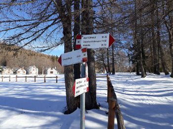 Tocht Te voet Masera - A08 - Masera località Ranco - Alpe Pescia - Photo