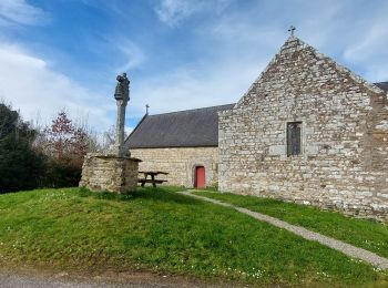 Tocht Stappen La Chapelle-Neuve - PR_56_La-Chapelle-Neuve_AA_01_Circuit3b_De-Floranges_20240307 - Photo