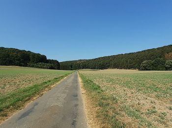 Trail On foot Brockum - Wehdem Rundwanderweg A5 - Photo