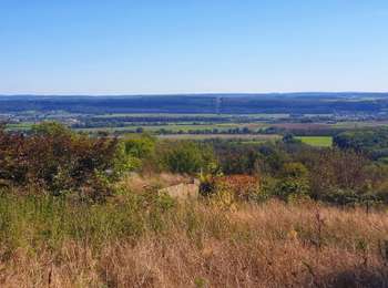 Trail Walking Beauraing - Balade de Wiesme à Finnevaux - Photo