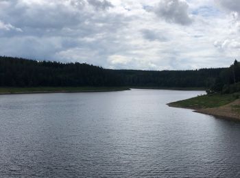 Percorso Bici da strada Eupen - Tour du Lac d’Eupen - Photo