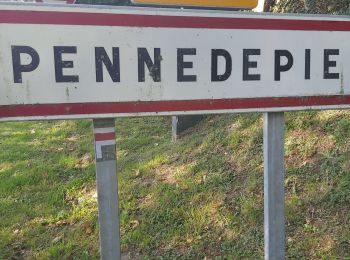 Tocht Stappen Pennedepie - Pennedepie - Photo