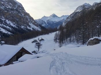 Trail Touring skiing Névache - mont thabor - Photo