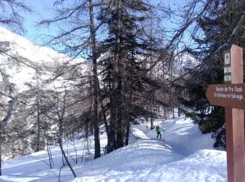 Trail Touring skiing Saint-Dalmas-le-Selvage - tentative de la crête de carpasse, et la croix de carlet - Photo