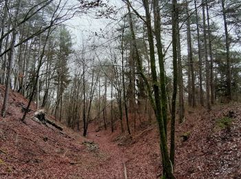 Trail Walking Souligny - Souligny - Photo