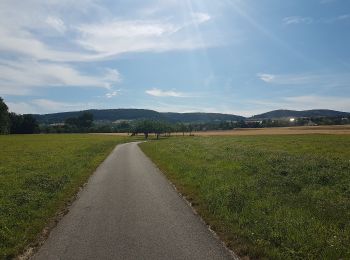 Percorso A piedi Großrinderfeld - Liebliches Taubertal – Rundwanderweg 8 – Ins Welzbachtal - Photo