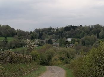 Randonnée Marche Florenville - Le chemin de la Roche à l'Appel  - Photo