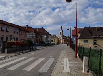 Percorso Bici da strada Rohrbach-lès-Bitche - EXT 85-01 Rohrbach les Bitche - Photo