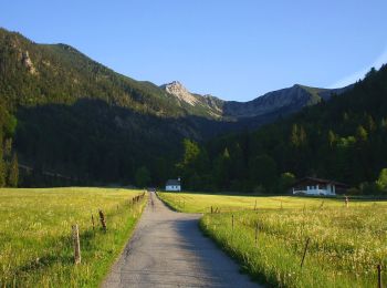Trail On foot Fischbachau - Wanderweg 595 - Bayrischzell - Birkenstein - Fischbachau - Neuhaus - Photo