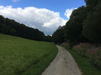 Percorso A piedi Helsa - Helsa, Rundweg 12 - Photo