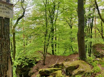 Tour Reiten Still - 2021-05-24 Picnic Elmersforst depuis Oberhaslach - Photo