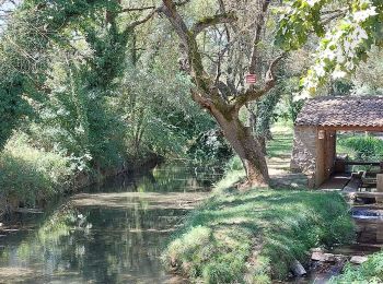 Randonnée Marche Bras - Bras Tombereau  - Photo