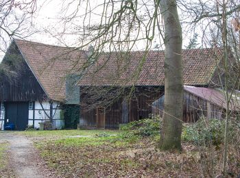 Tour Zu Fuß Olfen - Eversum Rundweg A5 - Photo