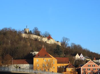 Randonnée A pied Burglengenfeld - Panoramasteig im Städtedreieck (Dunkelblaue 6) - Photo