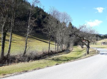 Percorso A piedi Kainach bei Voitsberg - Wanderweg 60 - Photo