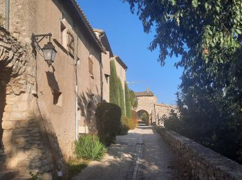 Randonnée Marche Savasse - Savasse et Vieux Village 8km - Photo