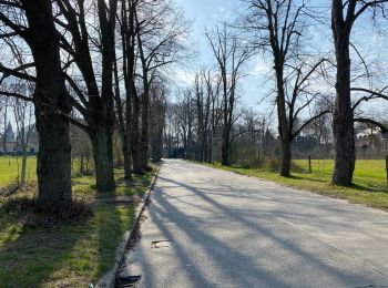 Trail Walking Berchem-Sainte-Agathe - Sint-Agatha-Berchem - Tour de l’échangeur 10 km  - Photo