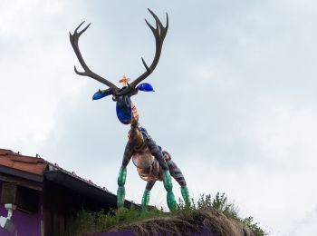 Tour Zu Fuß Grafenau - Steinpilz - Photo