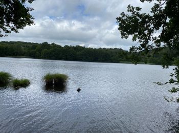 Tocht Stappen Champeau-en-Morvan - Lac chambaud 3 - Photo