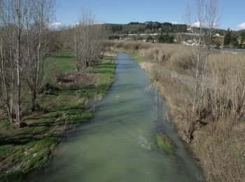 Percorso A piedi Montespertoli - Dolce campagna antiche mura 4 - Photo