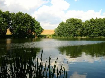 Randonnée A pied Stubbendorf - Stubbendorf-Liepen - Photo