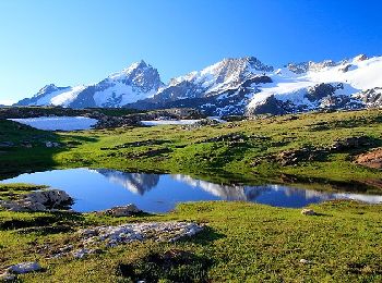 Trail Walking Les Deux Alpes - Barrage du Chambon-Lac noir GR54 - Photo