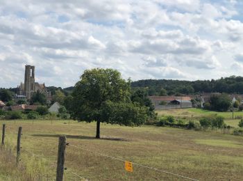 Trail Walking Bourron-Marlotte - Bourron marlotte nemours par dame Jouannet - Photo