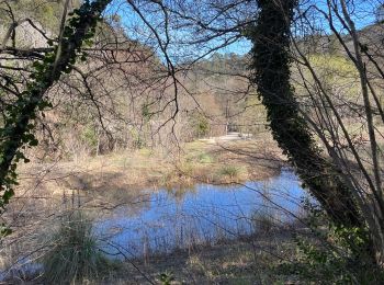 Tocht sport Méounes-lès-Montrieux - LE GAPEAU MP 19.02 V1 - Photo