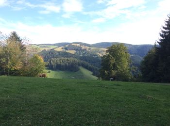 Randonnée Marche Münstertal/Schwarzwald - Spielwieg romantik - Photo