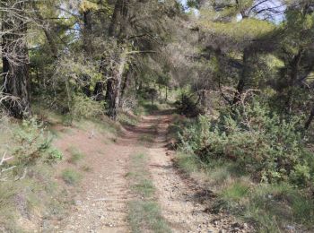 Excursión Bici de montaña Bras-d'Asse - petit tour  - Photo