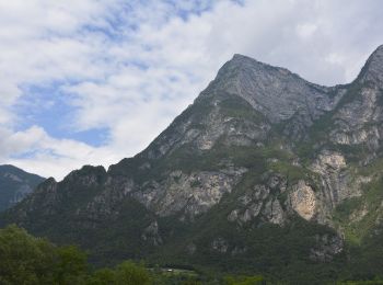 Trail On foot Cinte Tesino - IT-E395 - Photo