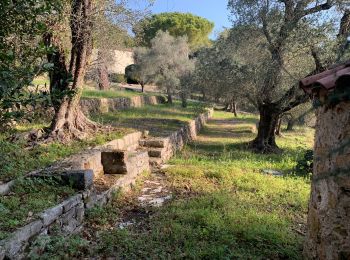 Randonnée Marche Mougins - Mougins - Photo