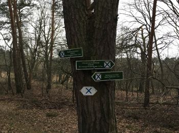 Tour Zu Fuß Mittenwalde - Wanderweg Sutschketal - Ostseite Krummer See - Photo