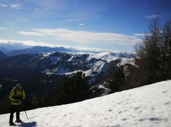 Trail Snowshoes Villars-Colmars - croix de sellanche - Photo