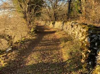 Trail Walking Limogne-en-Quercy - Limogne Malecargue variante  - Photo