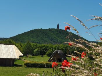 Percorso A piedi Kelbra (Kyffhäuser) - Rundweg 1: Schleiferweg-Dorntal - Photo