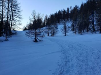 Trail Snowshoes Vars - Fontbonne Cabane de l'Écuelle Refuge Napoléon  - Photo