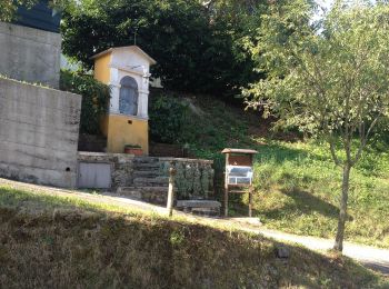 Tocht Te voet Chiampo - Il Sentiero delle Marogne - Photo