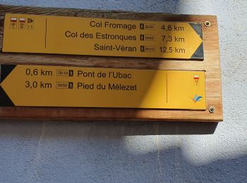 Trail Walking Ceillac - col fromage retour par la route des cairns - Photo