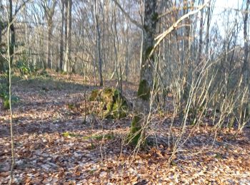 Trail Walking Souligny - Souligny 16,2km DC+486 le 10.02.2023 - Photo